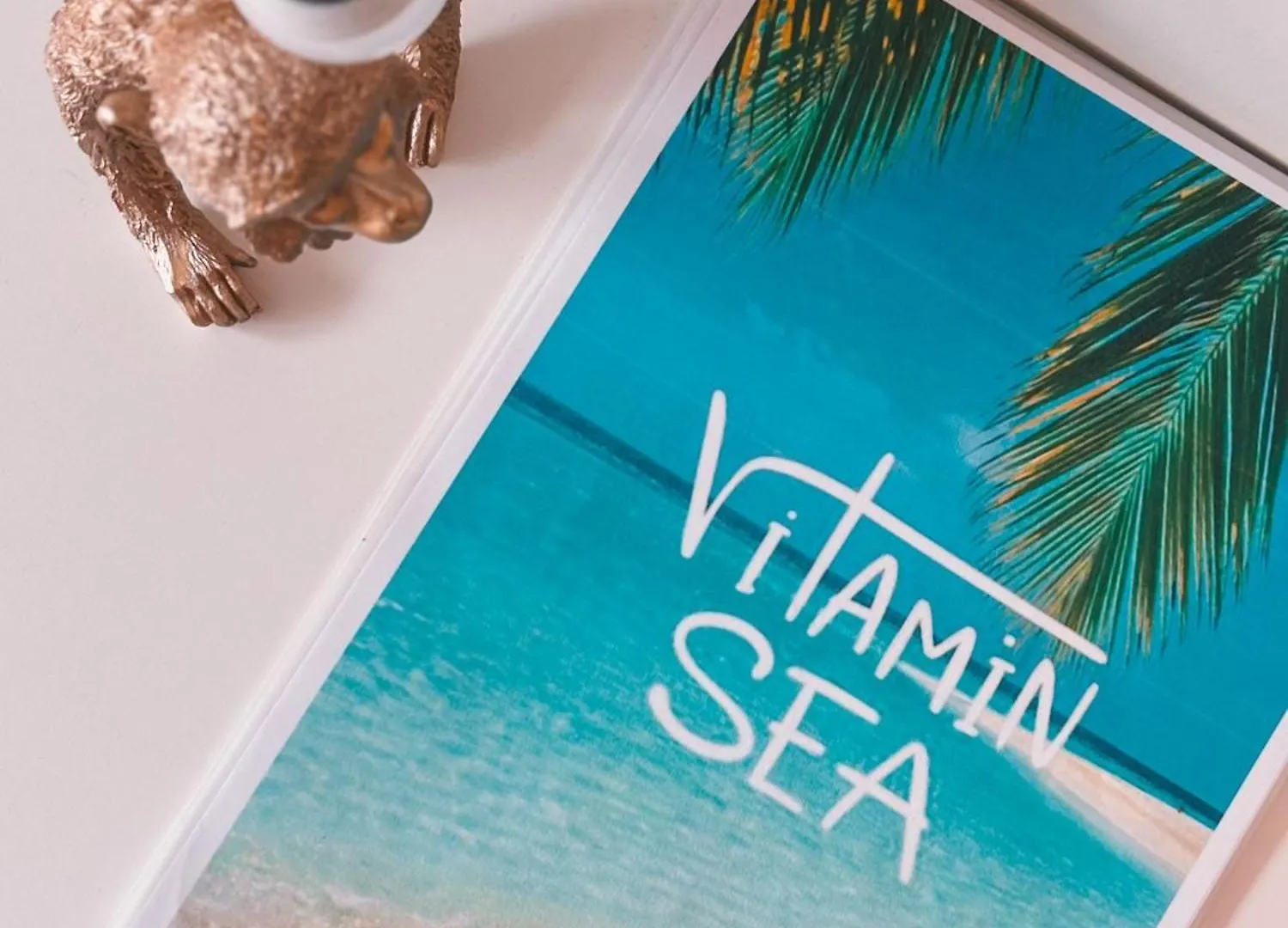 Vitamin Sea, In Het Centrum En Naast De Zee Ostende 0*,  Belgique